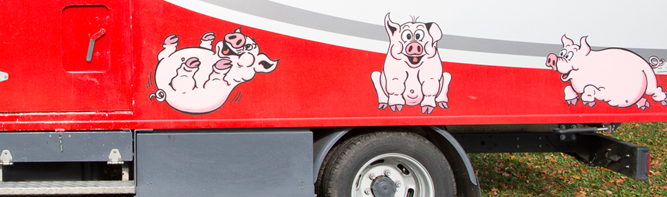 Fredy Müller  / Phanta Porc Schweinevermarktung AG